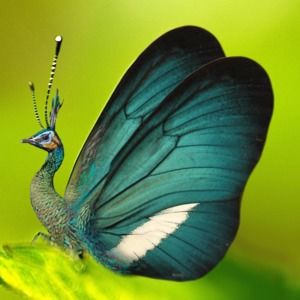 Meet your Posher, Katherine